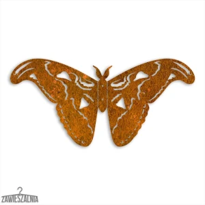 Zawieszalnia – 3D Wall Decoration Atlas Moth L 50 cm Corten Steel