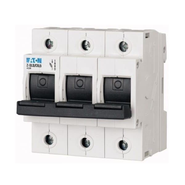 Fuse switch 3P 63A D01 D02 Z-SLS/CB/3 248249 EATON GPV-401-191