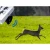 Forest wildlife repellent: wild boars, foxes, deer VIANO (OZ1) PV-400-46 (8)